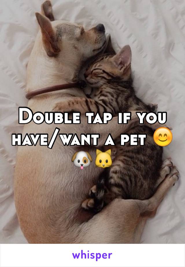 Double tap if you have/want a pet 😊🐶🐱