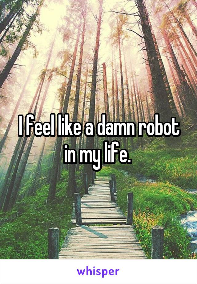 I feel like a damn robot in my life. 