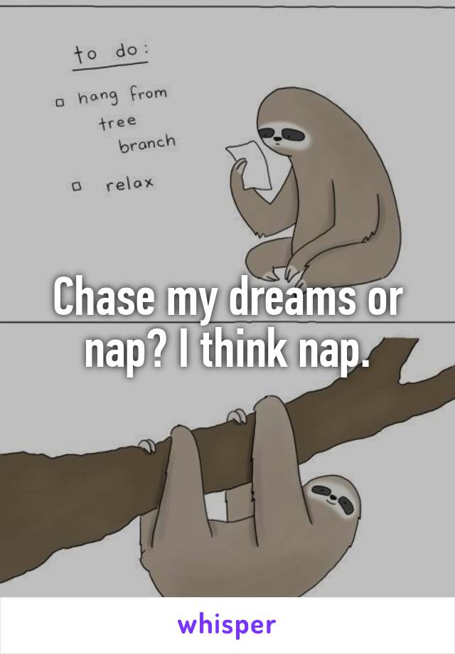 Chase my dreams or nap? I think nap.