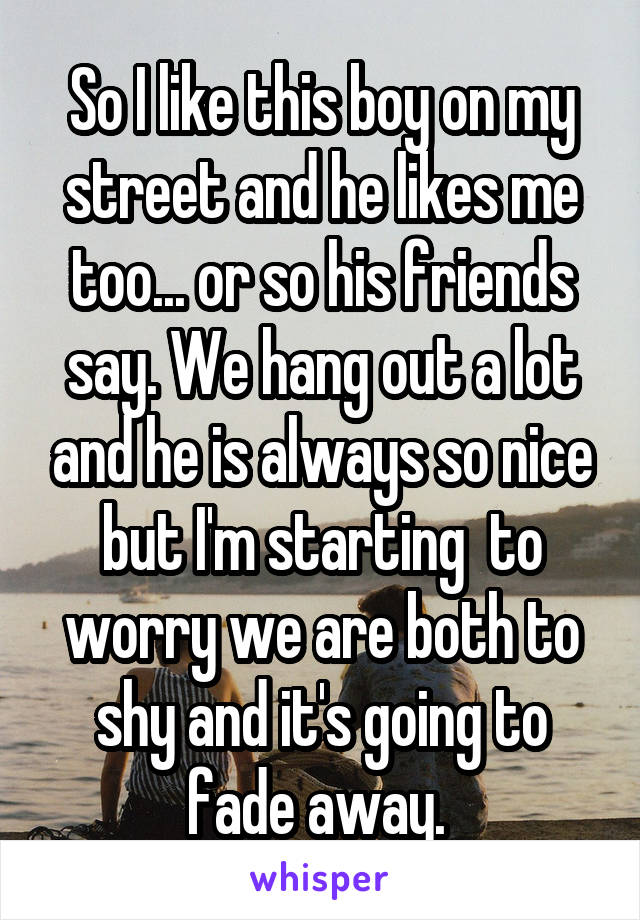 So I like this boy on my street and he likes me too... or so his friends say. We hang out a lot and he is always so nice but I'm starting  to worry we are both to shy and it's going to fade away. 