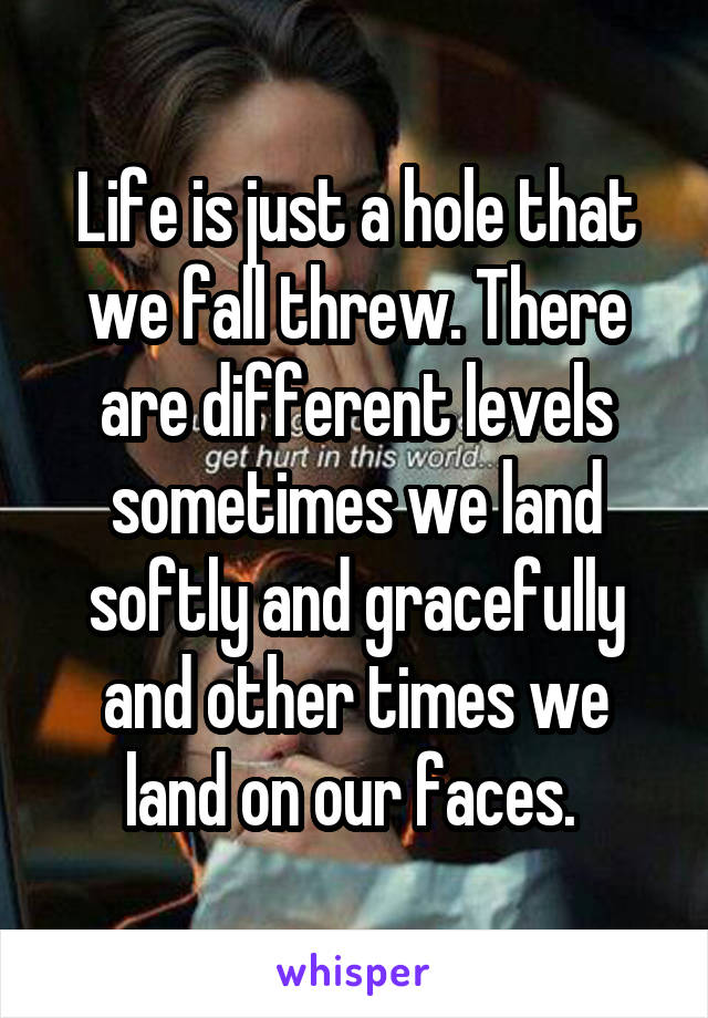 Life is just a hole that we fall threw. There are different levels sometimes we land softly and gracefully and other times we land on our faces. 