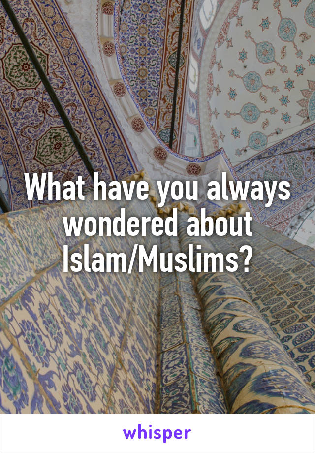 What have you always wondered about Islam/Muslims?