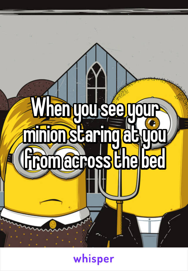 When you see your minion staring at you from across the bed