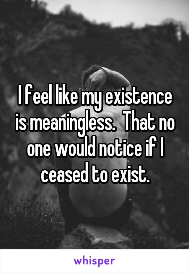 I feel like my existence is meaningless.  That no one would notice if I ceased to exist.