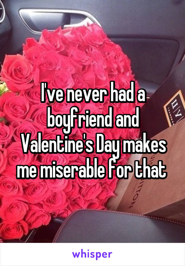 I've never had a boyfriend and Valentine's Day makes me miserable for that 