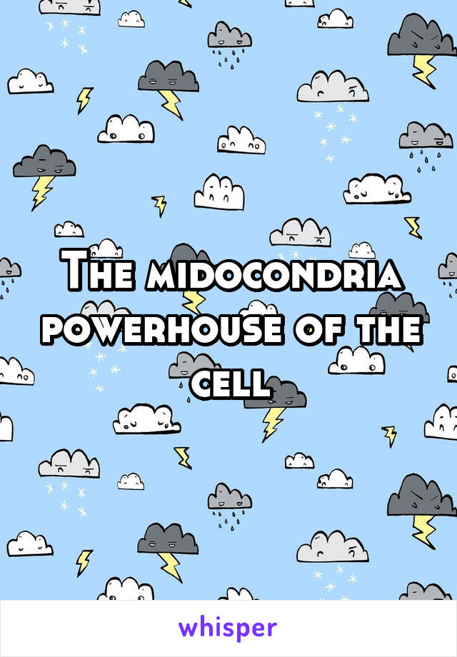 The midocondria powerhouse of the cell