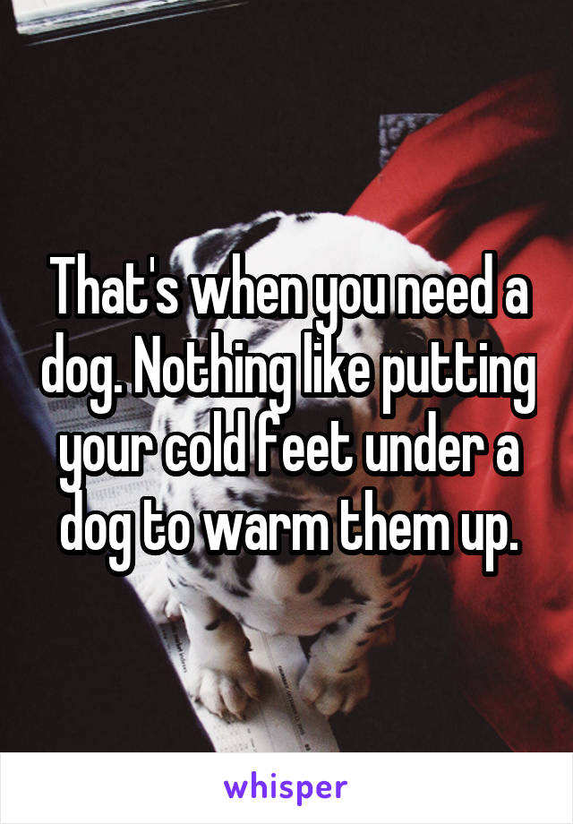 That's when you need a dog. Nothing like putting your cold feet under a dog to warm them up.