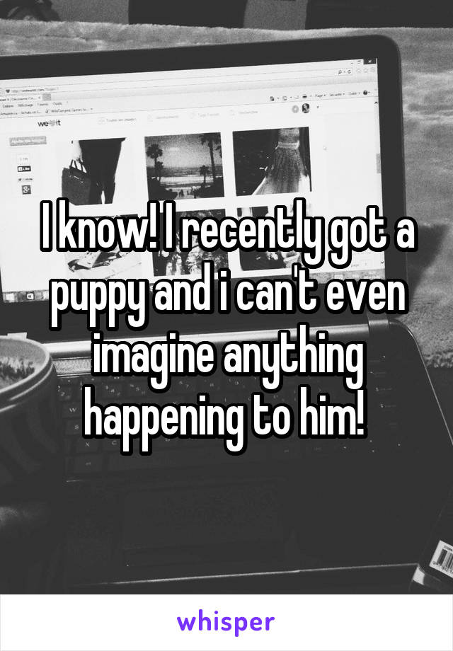 I know! I recently got a puppy and i can't even imagine anything happening to him! 