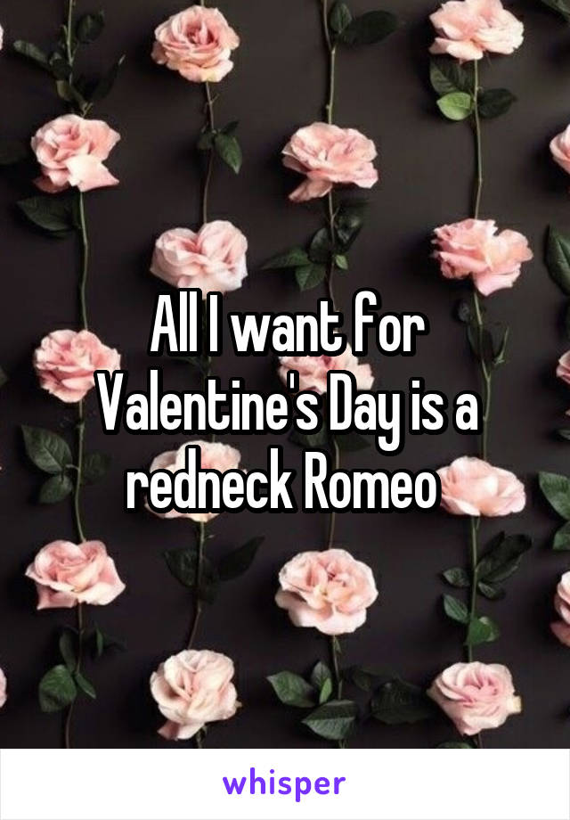 All I want for Valentine's Day is a redneck Romeo 