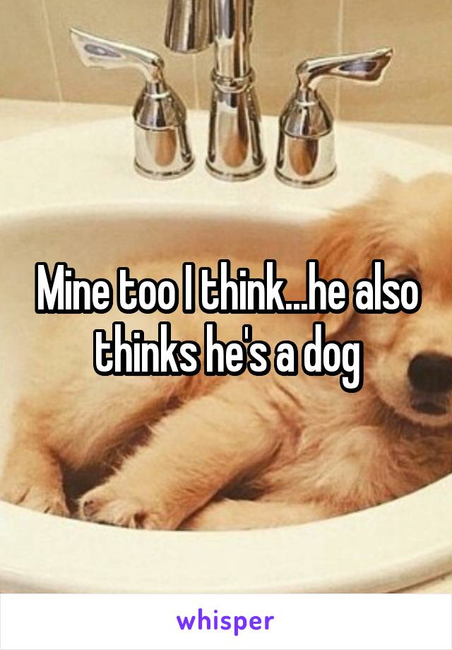Mine too I think...he also thinks he's a dog