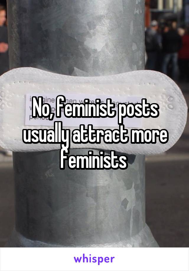 No, feminist posts usually attract more feminists 