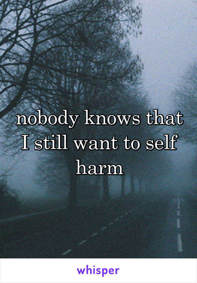 nobody knows that I still want to self harm