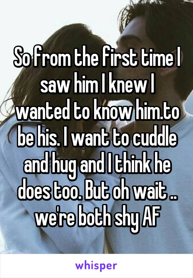 So from the first time I saw him I knew I wanted to know him.to be his. I want to cuddle and hug and I think he does too. But oh wait .. we're both shy AF