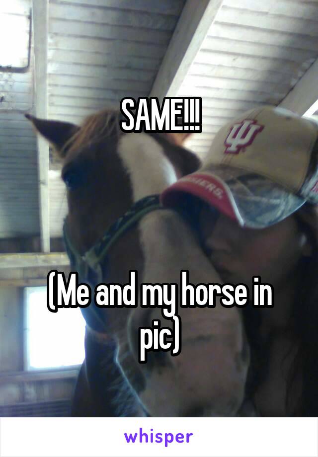 SAME!!!



(Me and my horse in pic)