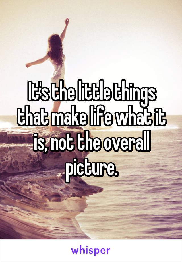 It's the little things that make life what it is, not the overall picture.