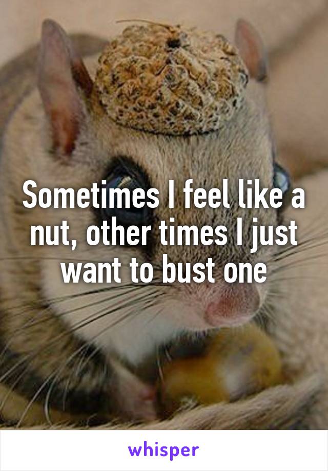 Sometimes I feel like a nut, other times I just want to bust one