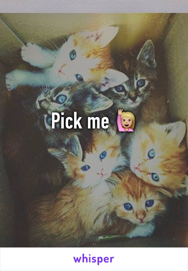 Pick me 🙋🏼