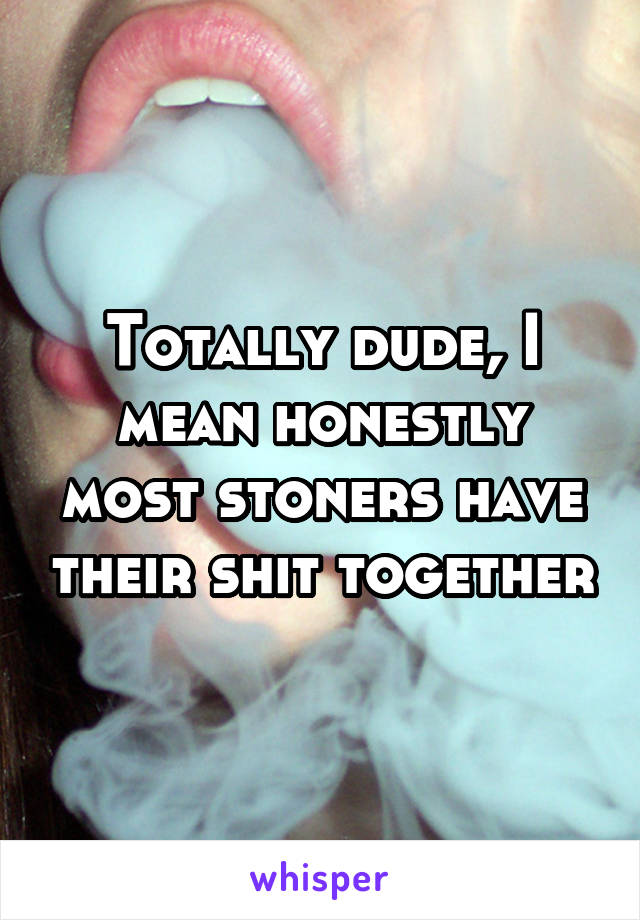 Totally dude, I mean honestly most stoners have their shit together