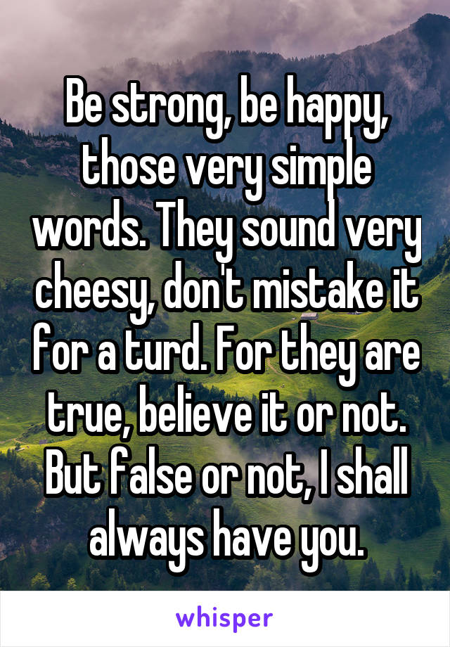 Be strong, be happy, those very simple words. They sound very cheesy, don't mistake it for a turd. For they are true, believe it or not. But false or not, I shall always have you.