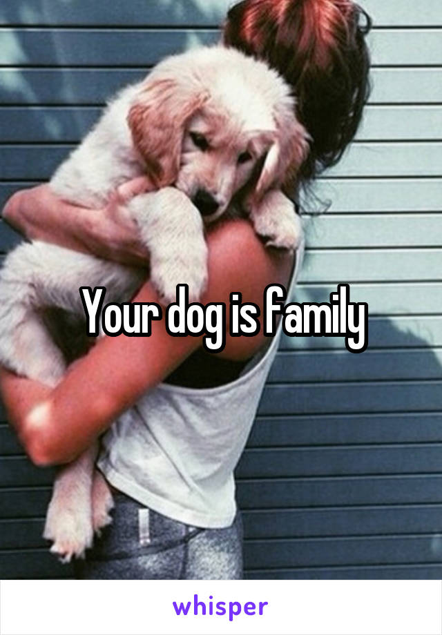 Your dog is family