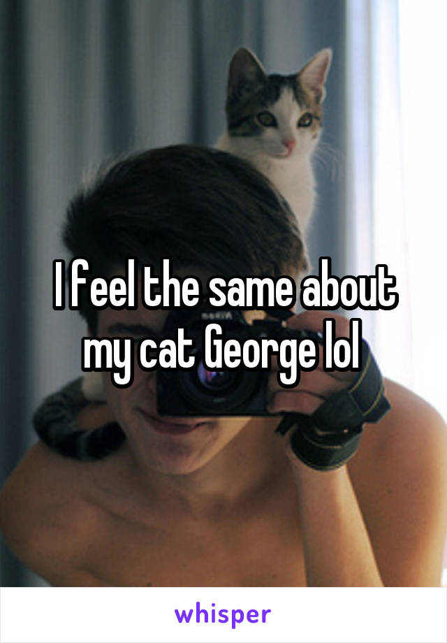 I feel the same about my cat George lol 