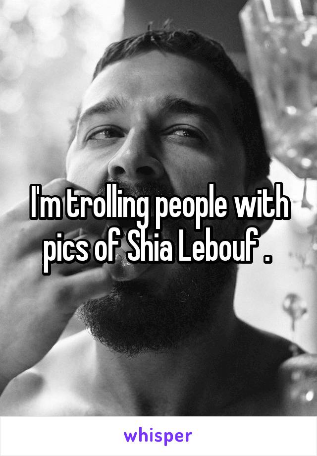 I'm trolling people with pics of Shia Lebouf . 