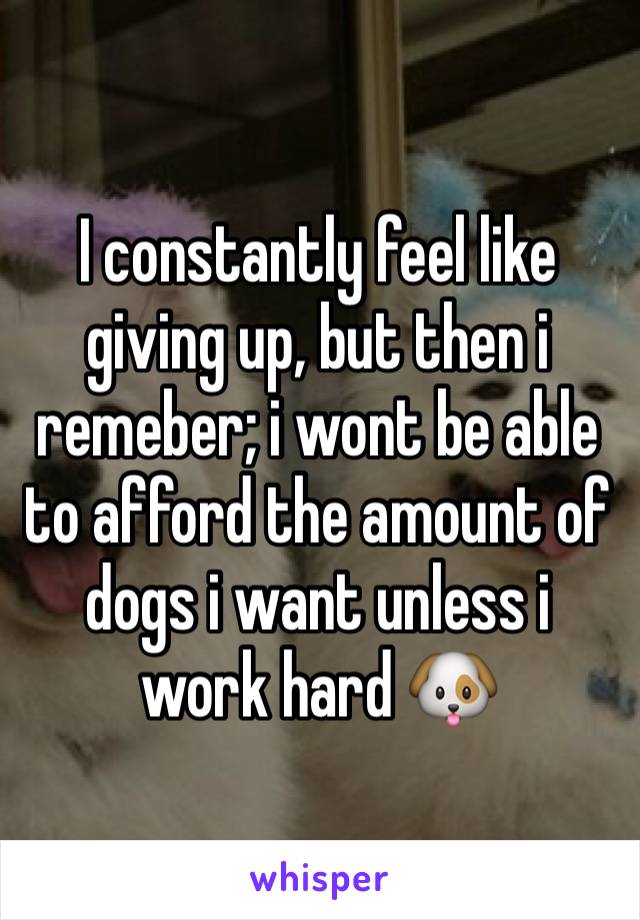 I constantly feel like giving up, but then i remeber; i wont be able to afford the amount of dogs i want unless i work hard 🐶