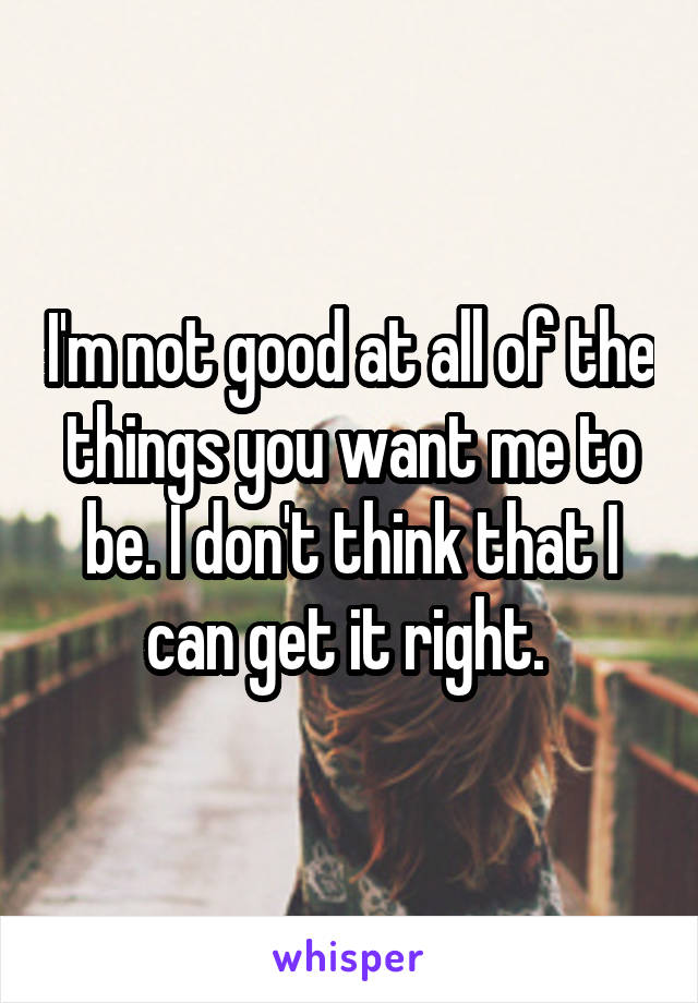 I'm not good at all of the things you want me to be. I don't think that I can get it right. 