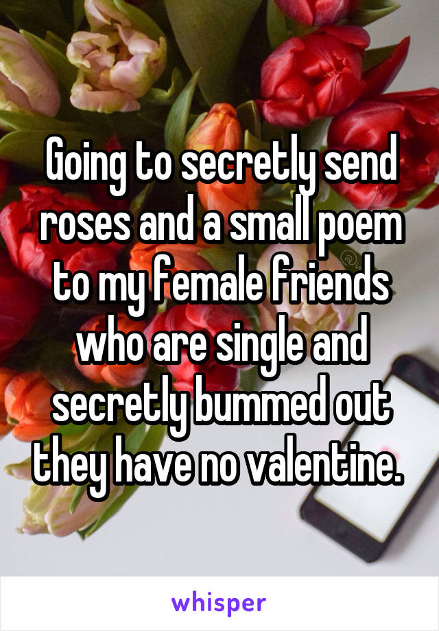 Going to secretly send roses and a small poem to my female friends who are single and secretly bummed out they have no valentine. 