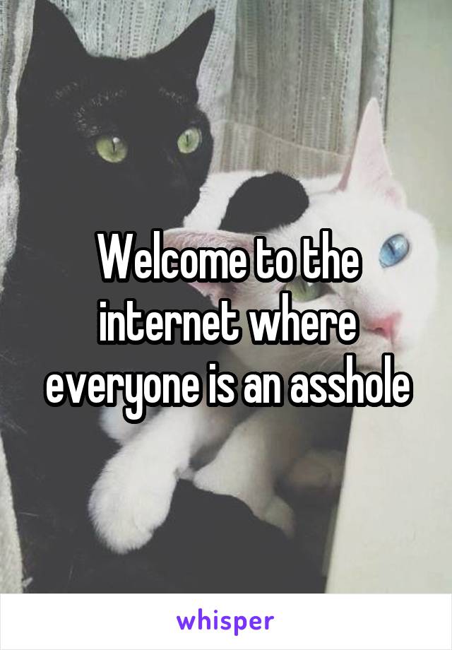 Welcome to the internet where everyone is an asshole