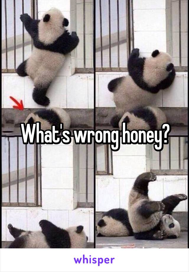 What's wrong honey?