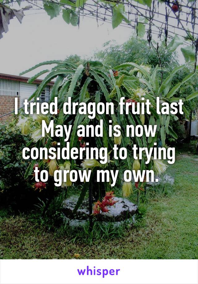 I tried dragon fruit last May and is now considering to trying to grow my own. 
