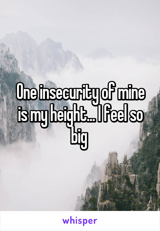 One insecurity of mine is my height... I feel so big 