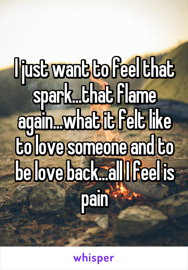 I just want to feel that spark...that flame again...what it felt like to love someone and to be love back...all I feel is pain