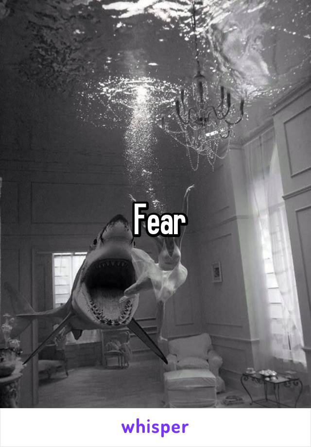   Fear 