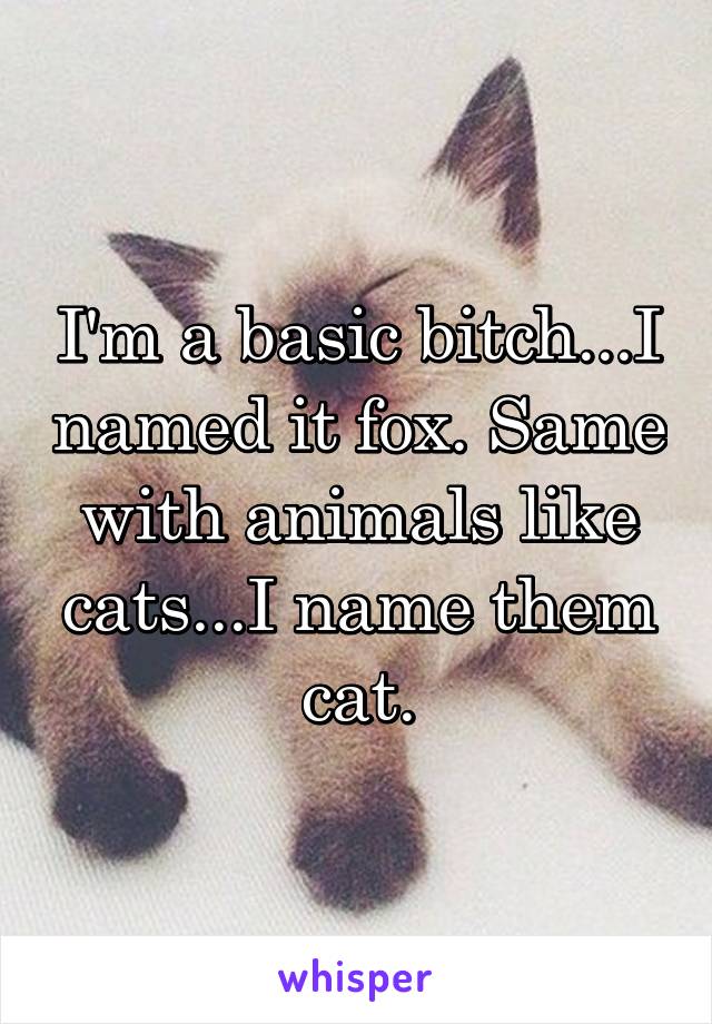 I'm a basic bitch...I named it fox. Same with animals like cats...I name them cat.