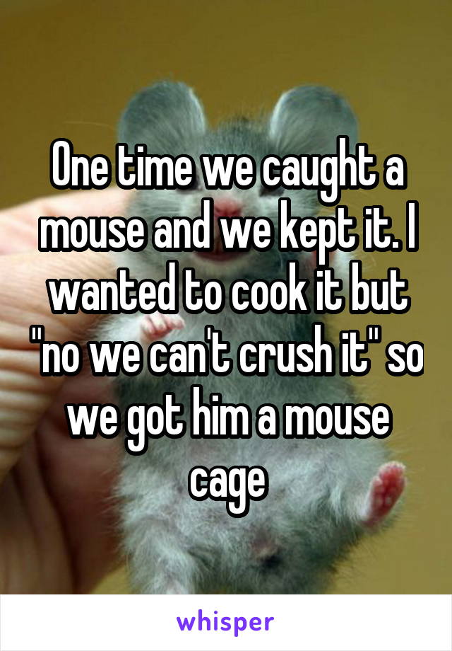 One time we caught a mouse and we kept it. I wanted to cook it but "no we can't crush it" so we got him a mouse cage