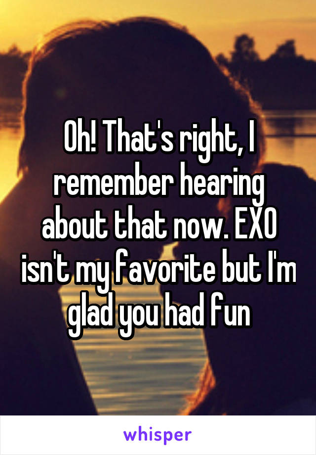 Oh! That's right, I remember hearing about that now. EXO isn't my favorite but I'm glad you had fun