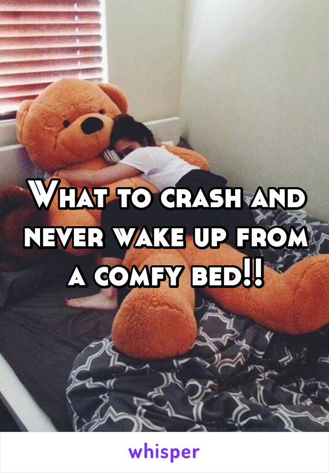 What to crash and never wake up from a comfy bed!!