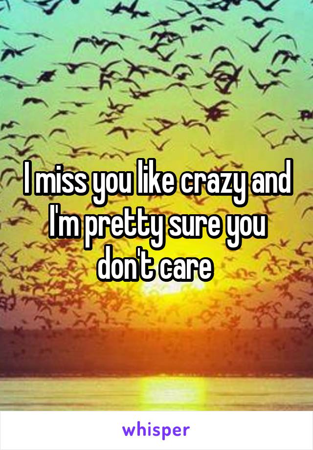 I miss you like crazy and I'm pretty sure you don't care 