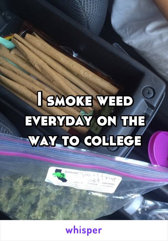 I smoke weed everyday on the way to college