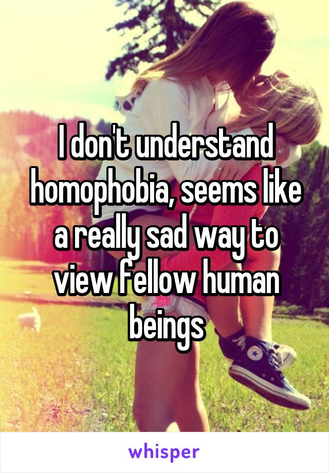 I don't understand homophobia, seems like a really sad way to view fellow human beings