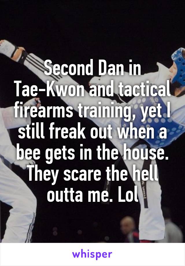 Second Dan in Tae-Kwon and tactical firearms training, yet I still freak out when a bee gets in the house. They scare the hell outta me. Lol
