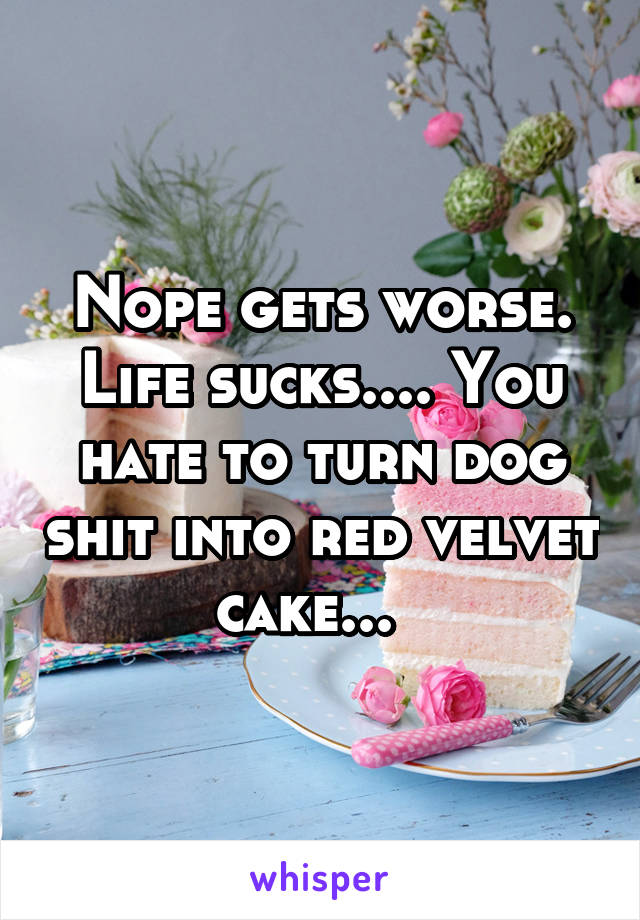 Nope gets worse. Life sucks.... You hate to turn dog shit into red velvet cake...  