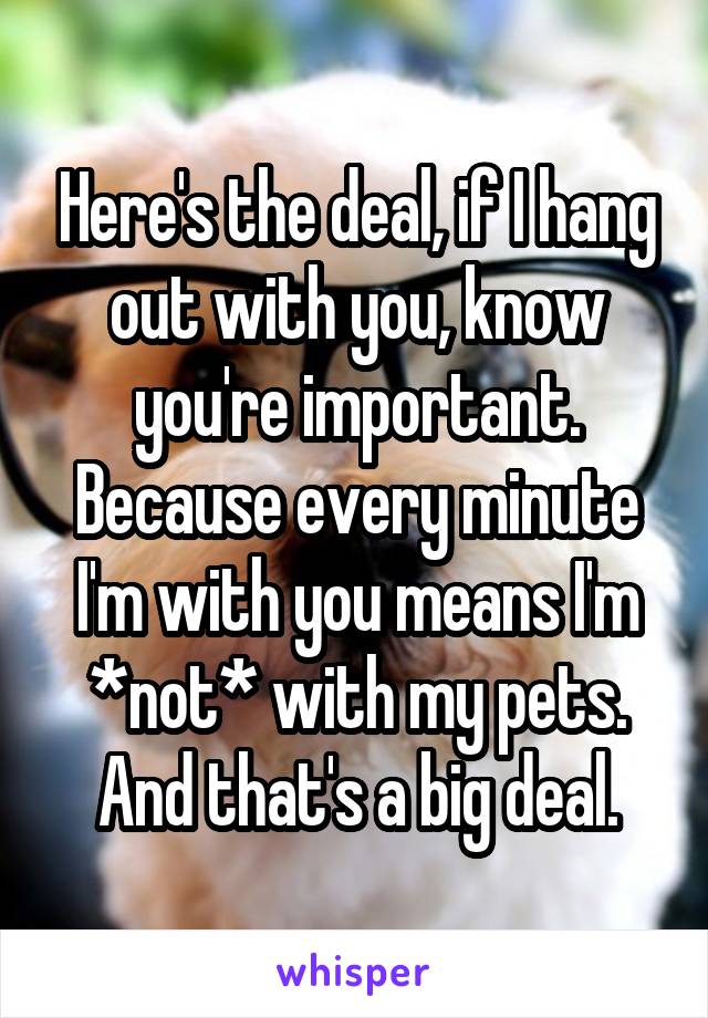 Here's the deal, if I hang out with you, know you're important. Because every minute I'm with you means I'm *not* with my pets. And that's a big deal.