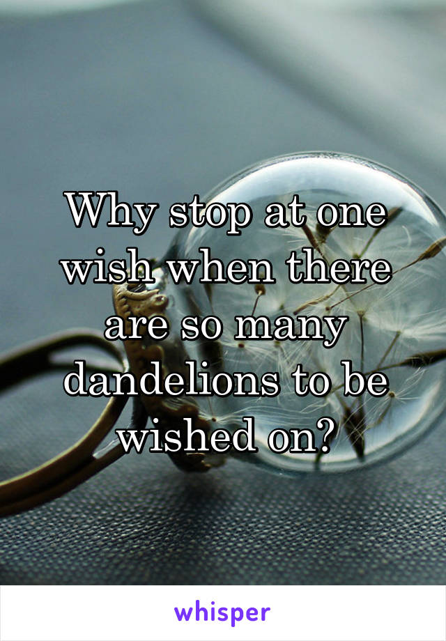 Why stop at one wish when there are so many dandelions to be wished on?