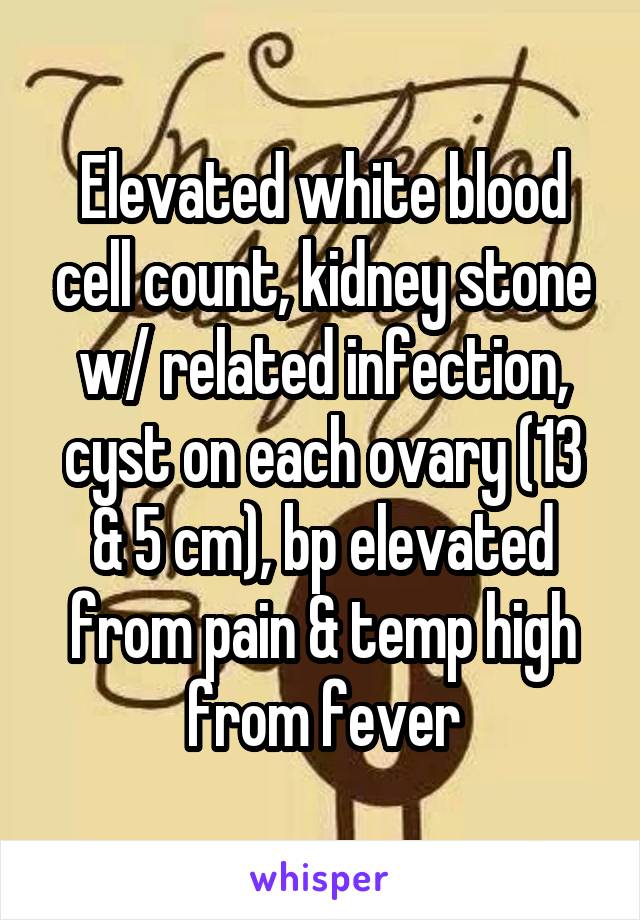 Elevated white blood cell count, kidney stone w/ related infection, cyst on each ovary (13 & 5 cm), bp elevated from pain & temp high from fever