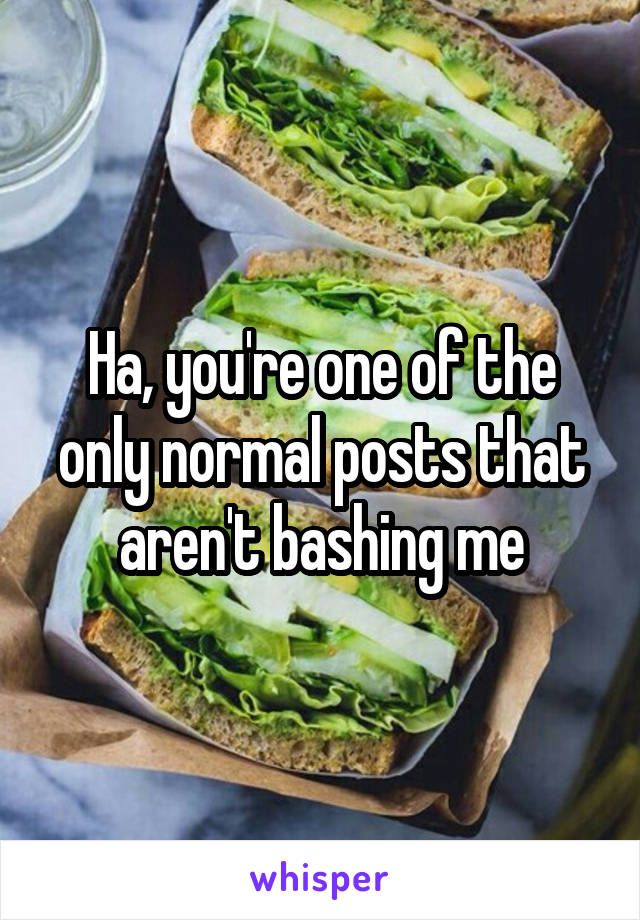 Ha, you're one of the only normal posts that aren't bashing me