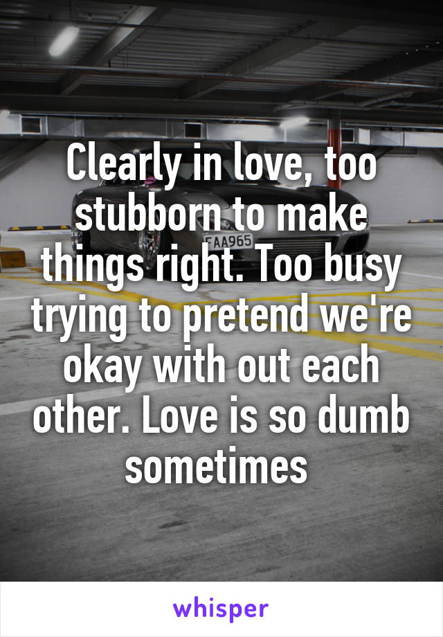 Clearly in love, too stubborn to make things right. Too busy trying to pretend we're okay with out each other. Love is so dumb sometimes 