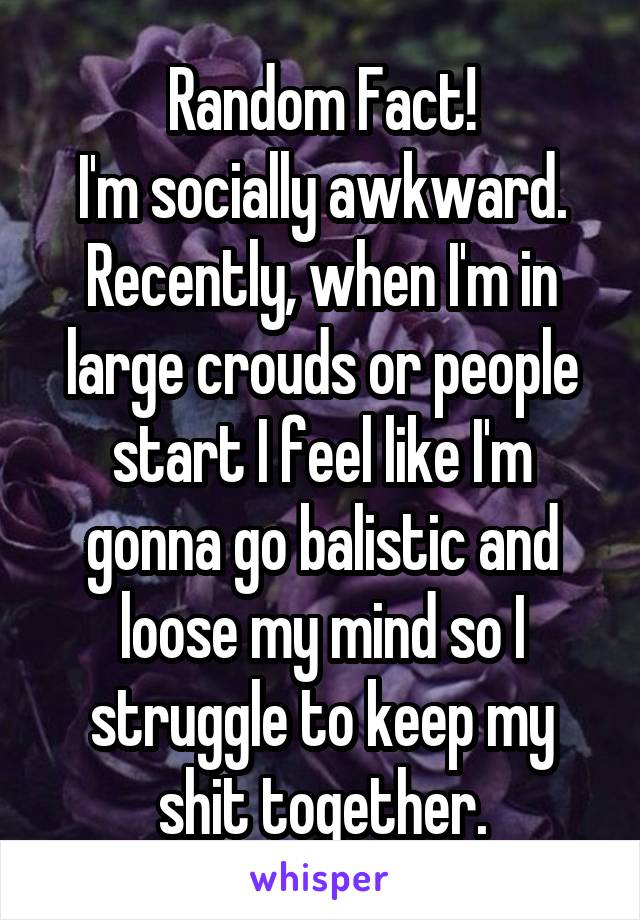 Random Fact!
I'm socially awkward. Recently, when I'm in large crouds or people start I feel like I'm gonna go balistic and loose my mind so I struggle to keep my shit together.